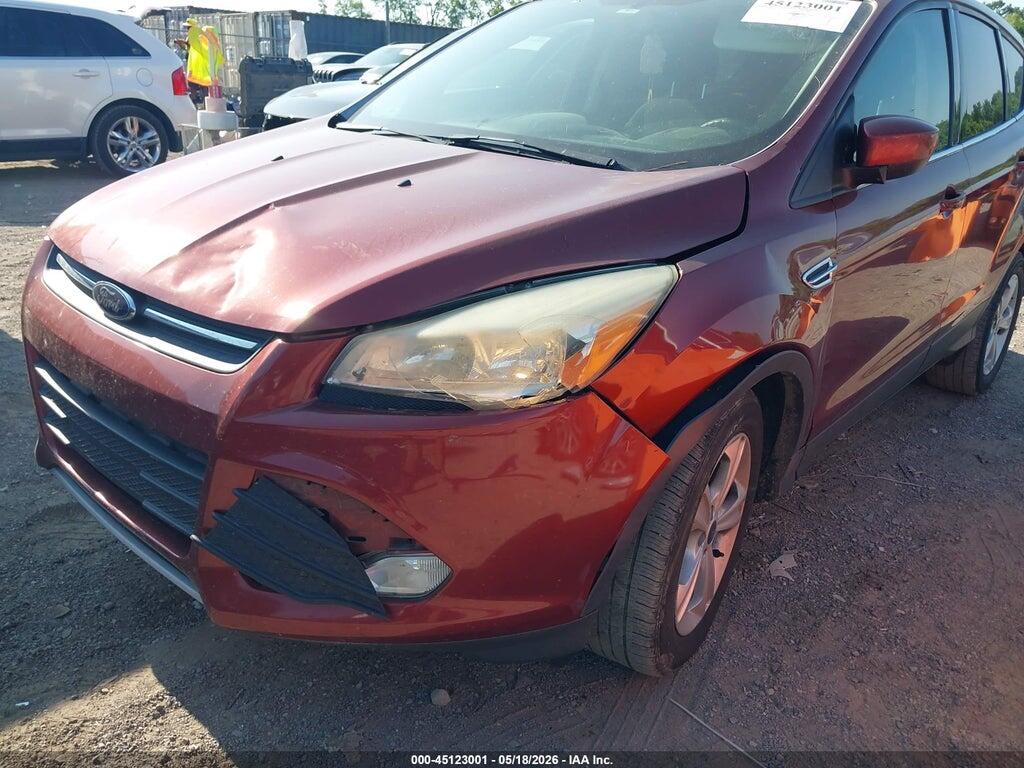 1FMCU0GX5EUA71176 2014 FORD ESCAPE photo no. 6