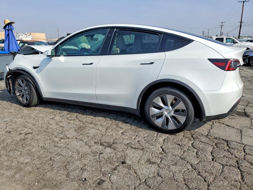 2023 TESLA MODEL Y — Фото 2 из 12