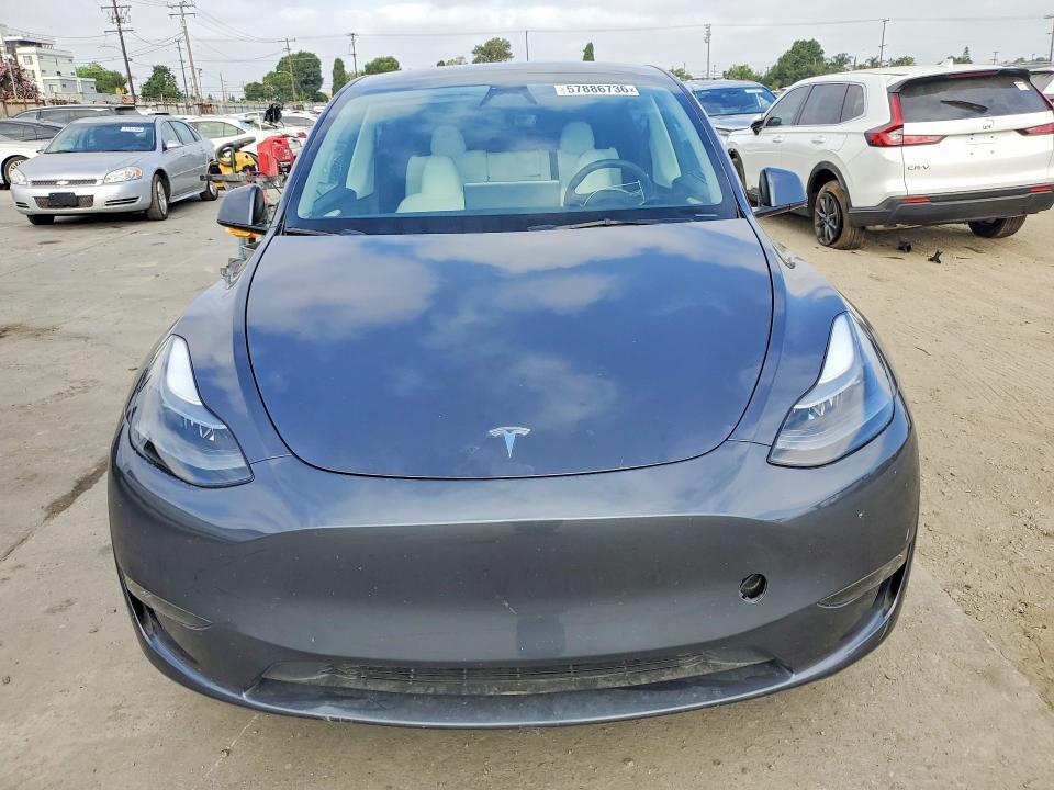 2023 TESLA MODEL Y — Фото 5 из 13