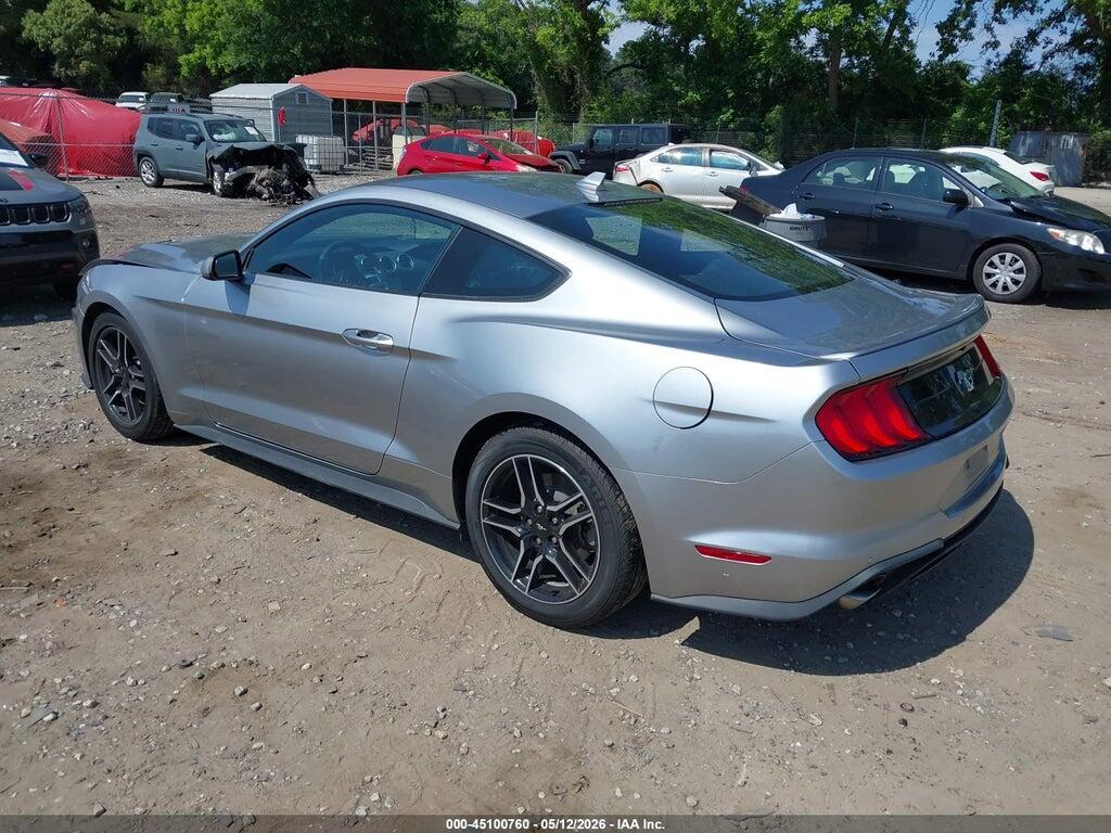 1FA6P8TH6P5110317 2023 FORD MUSTANG photo no. 3