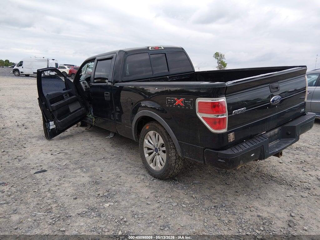 1FTFW1EV4AFD10525 2010 FORD F-150 photo no. 3
