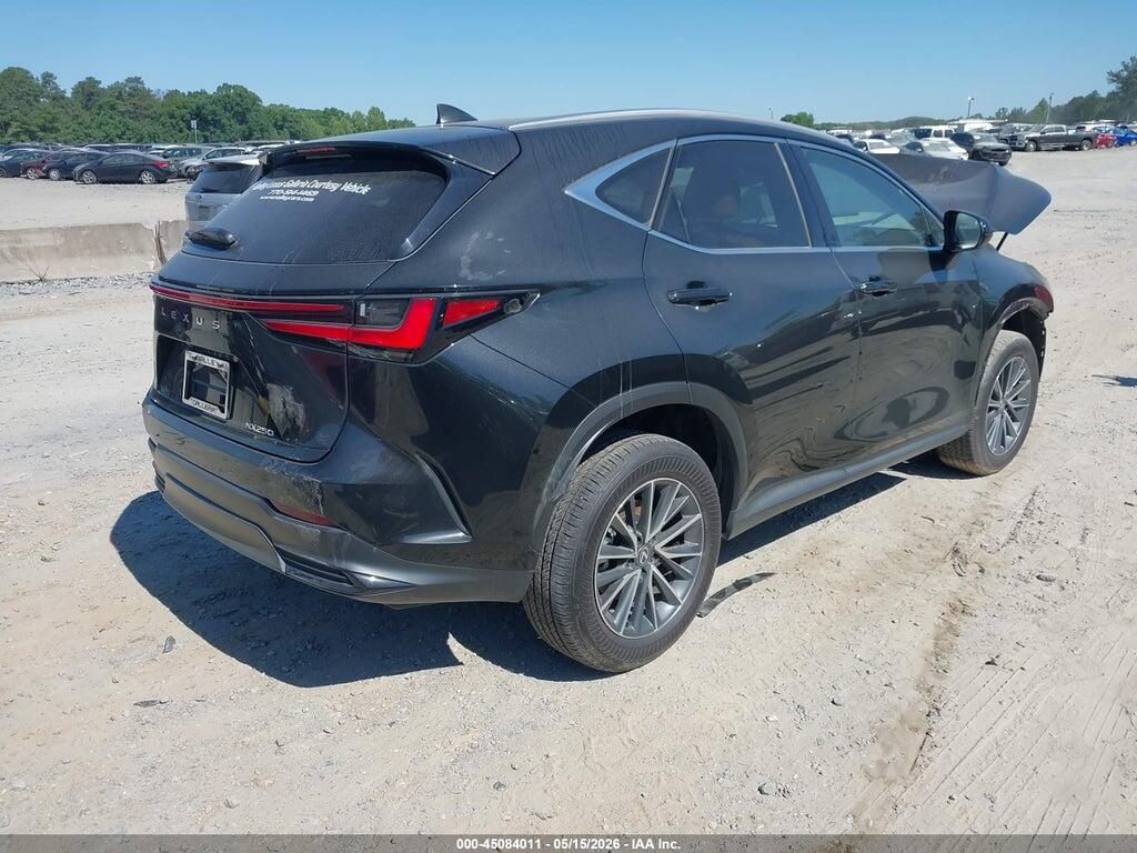 2T2GDCAZXSC026420 2025 LEXUS NX 250 photo no. 4