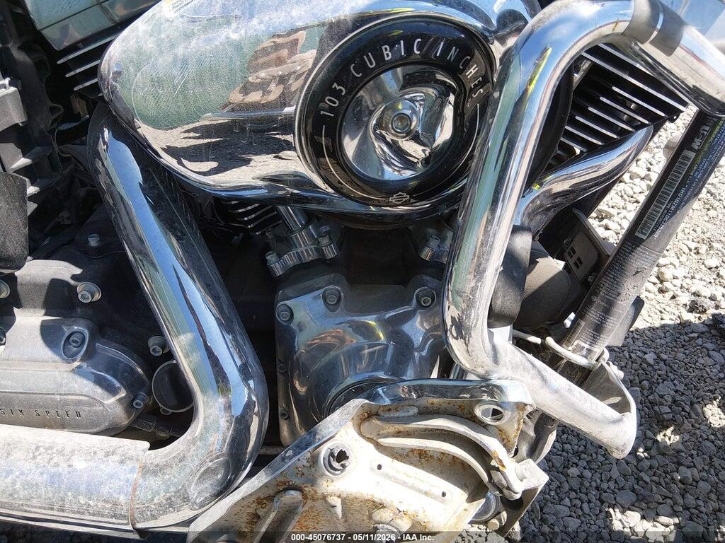 1HD1GZM11DC335326 2013 HARLEY-DAVIDSON FLD photo no. 8