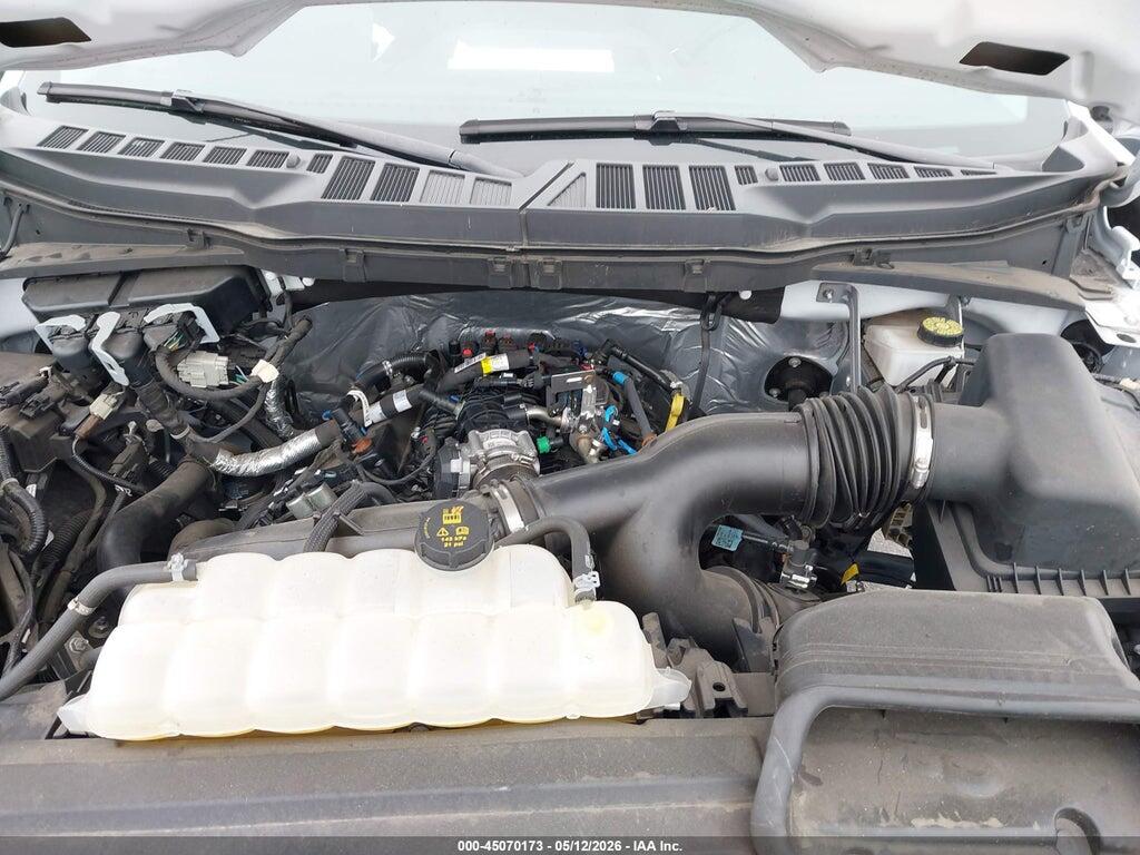 1FTMF1KP7RKF30564 2024 FORD F-150 photo no. 10