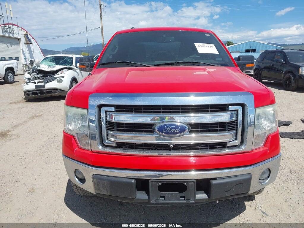 1FTEX1CMXEFA76383 2014 FORD F-150 photo no. 12