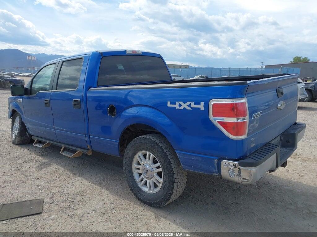 1FTFW1E85AFC36400 2010 FORD F-150 photo no. 3