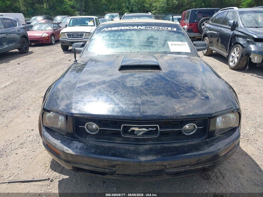 1ZVFT84N265121756 2006 FORD MUSTANG photo no. 6
