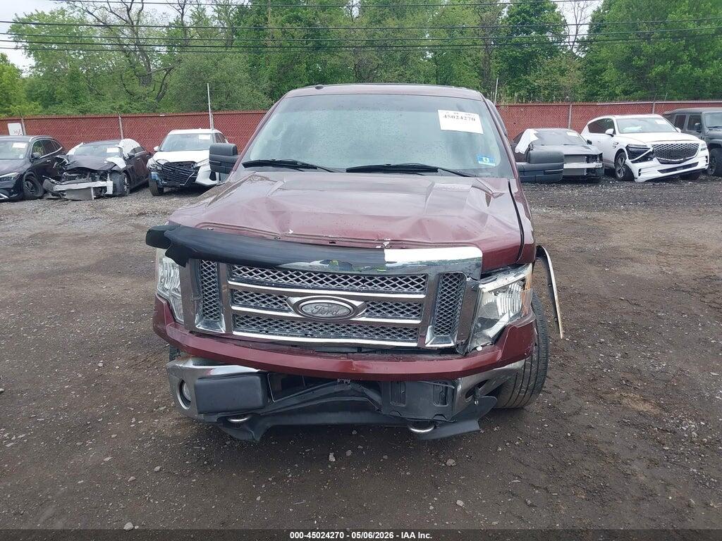 1FTFW1EV0AFB69467 2010 FORD F-150 photo no. 6