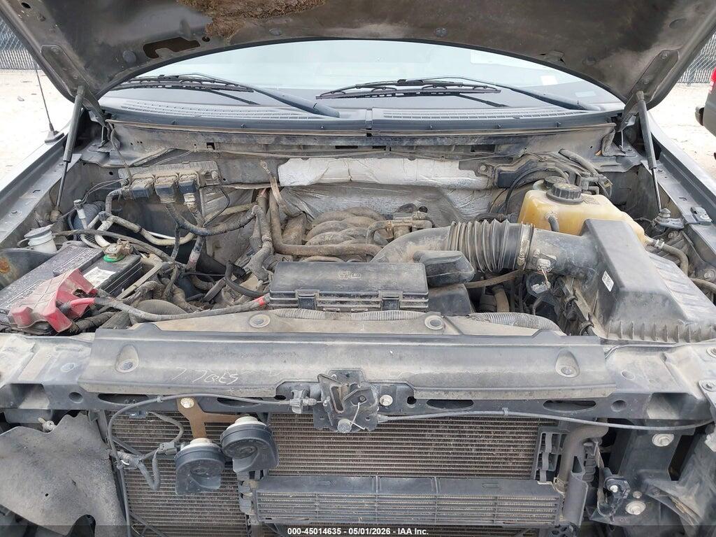 1FTFW1EF4DKG22574 2013 FORD F-150 photo no. 10