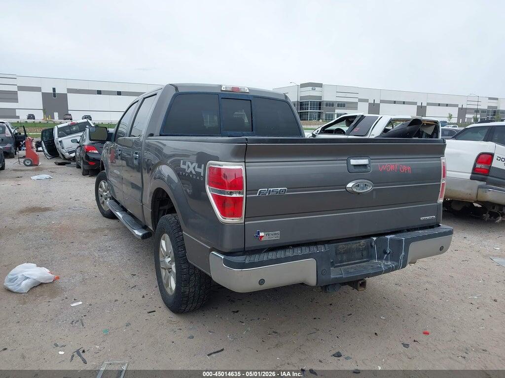1FTFW1EF4DKG22574 2013 FORD F-150 photo no. 3
