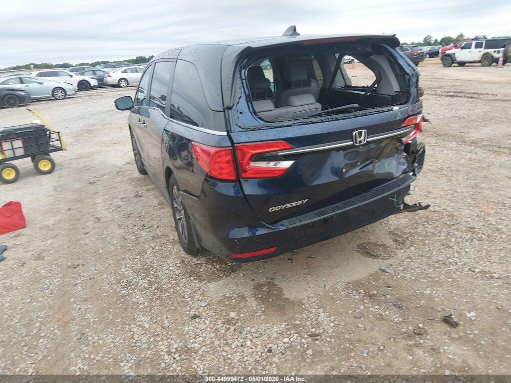 5FNRL6H61RB026017 2024 HONDA ODYSSEY photo no. 3