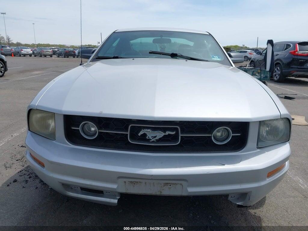 1ZVFT80N175244052 2007 FORD MUSTANG photo no. 6