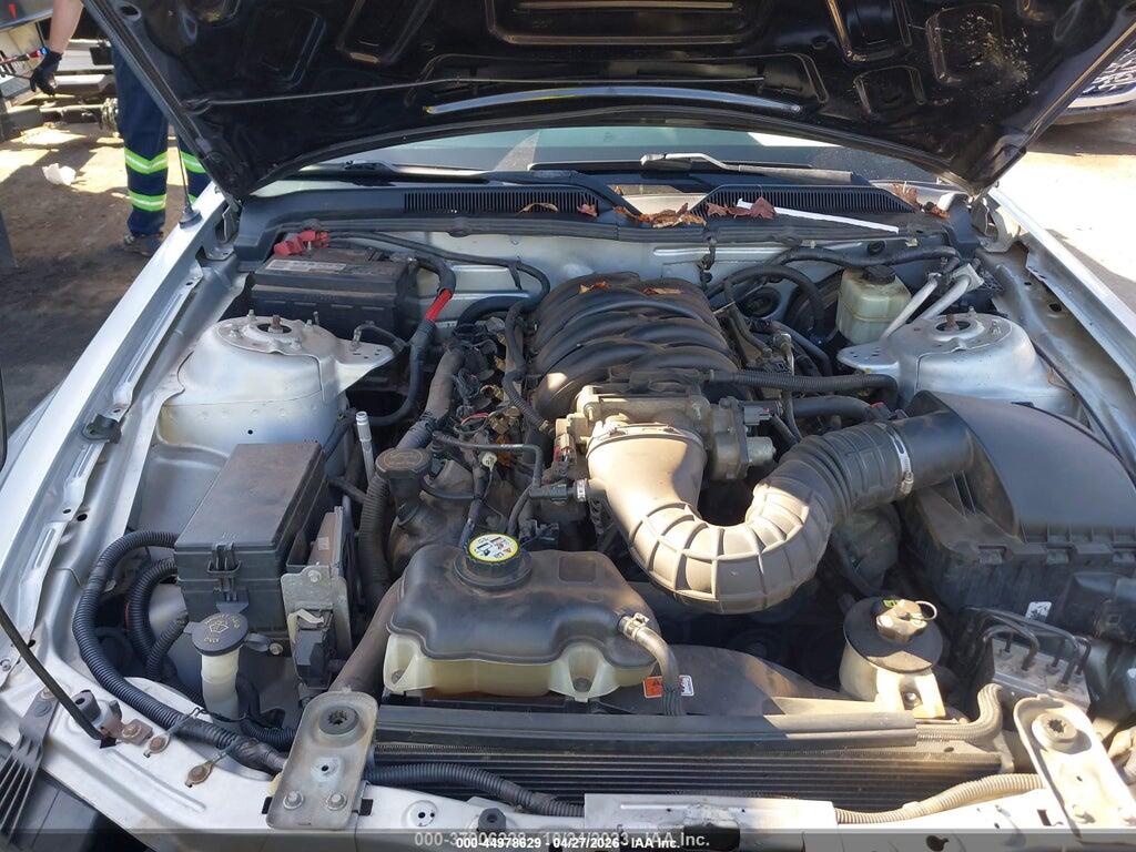 1ZVHT82H965218149 2006 FORD MUSTANG photo no. 10