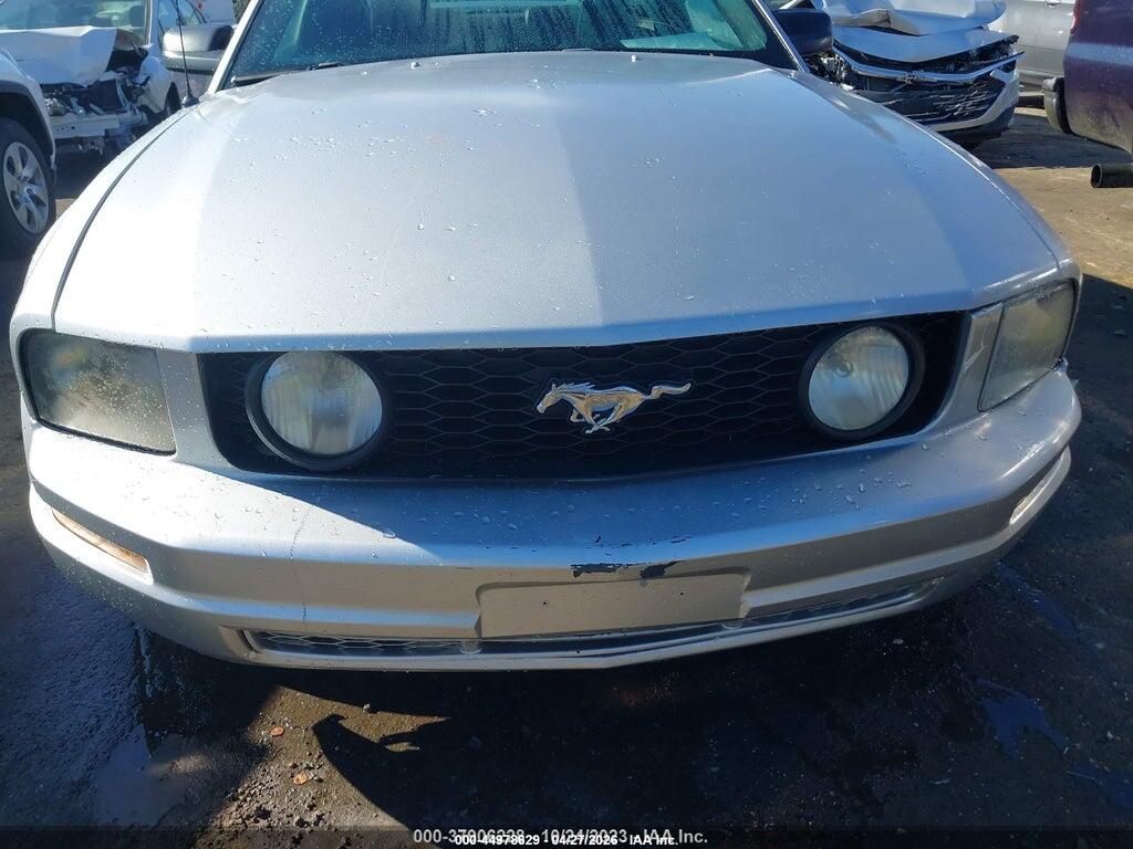 1ZVHT82H965218149 2006 FORD MUSTANG photo no. 12