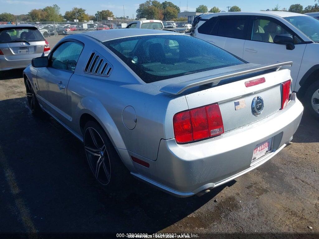 1ZVHT82H965218149 2006 FORD MUSTANG photo no. 3