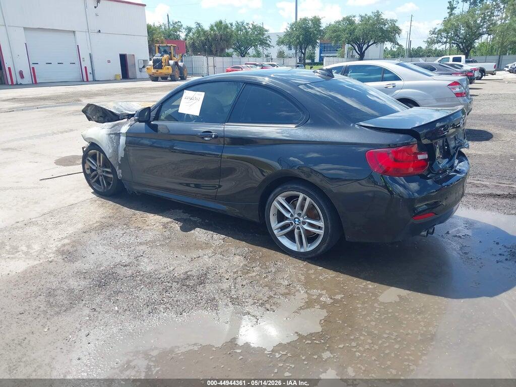 WBA1G9C55FVX96748 2015 BMW 228I photo no. 3