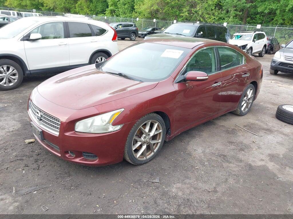 1N4AA5AP3AC852858 2010 NISSAN MAXIMA photo no. 2