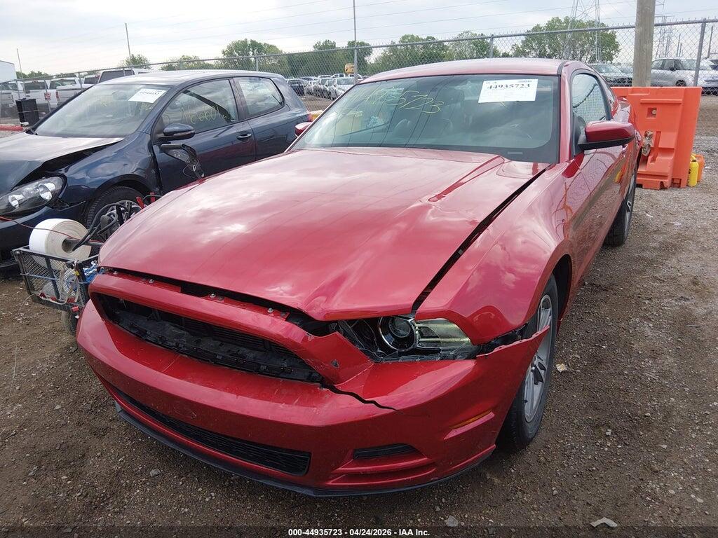 1ZVBP8AM2D5231671 2013 FORD MUSTANG photo no. 6