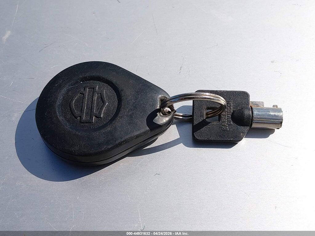 1HD1KRP19LB674494 2020 HARLEY-DAVIDSON FLHXS photo no. 11