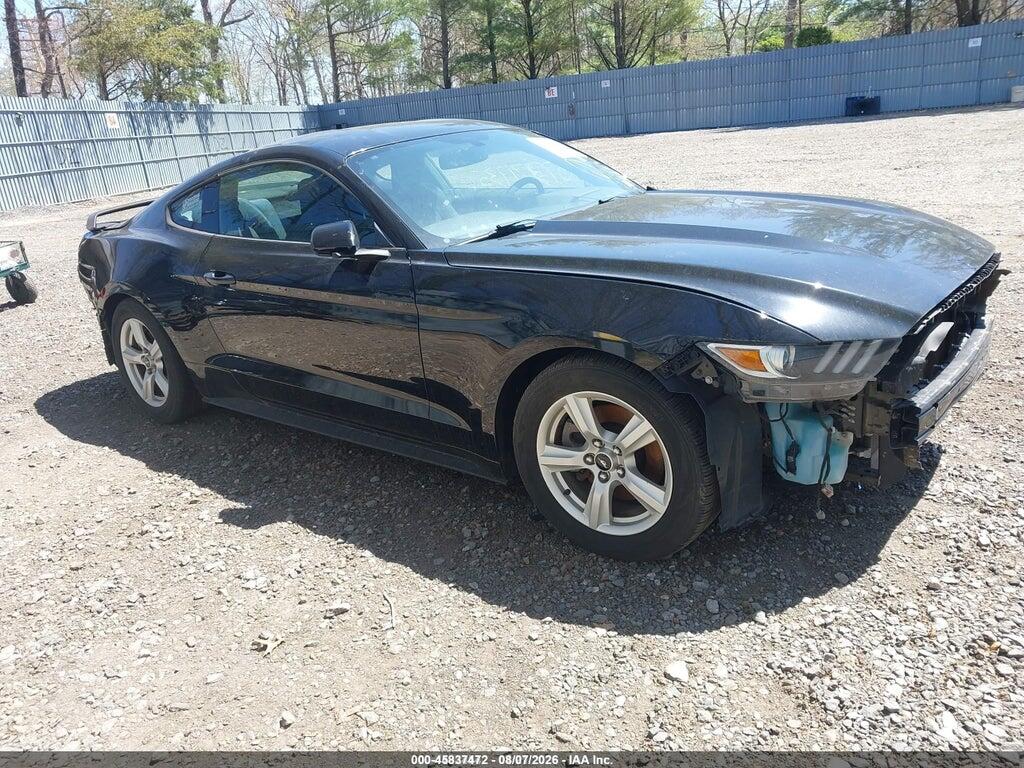 1FA6P8AM3H5202597 2017 FORD MUSTANG photo no. 1
