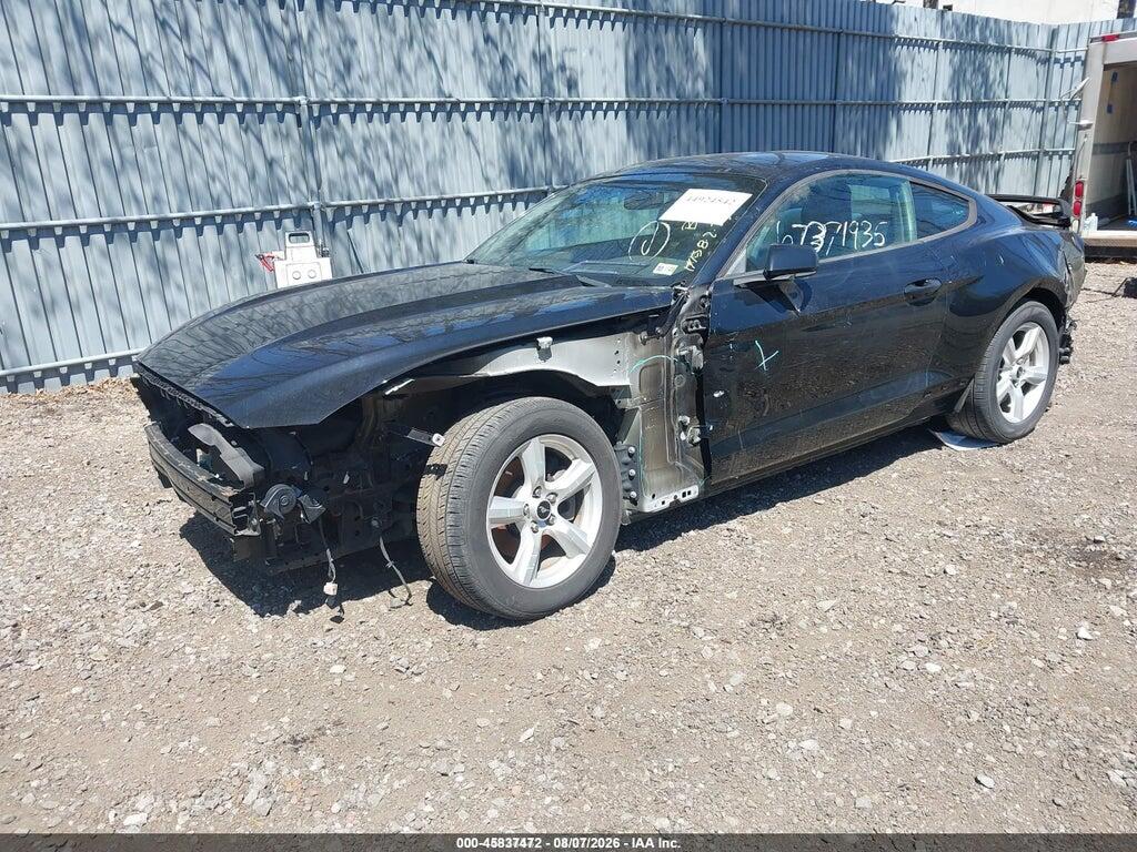 1FA6P8AM3H5202597 2017 FORD MUSTANG photo no. 2