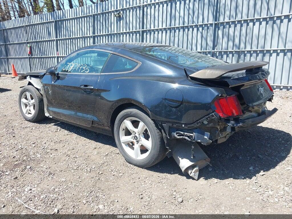 1FA6P8AM3H5202597 2017 FORD MUSTANG photo no. 3