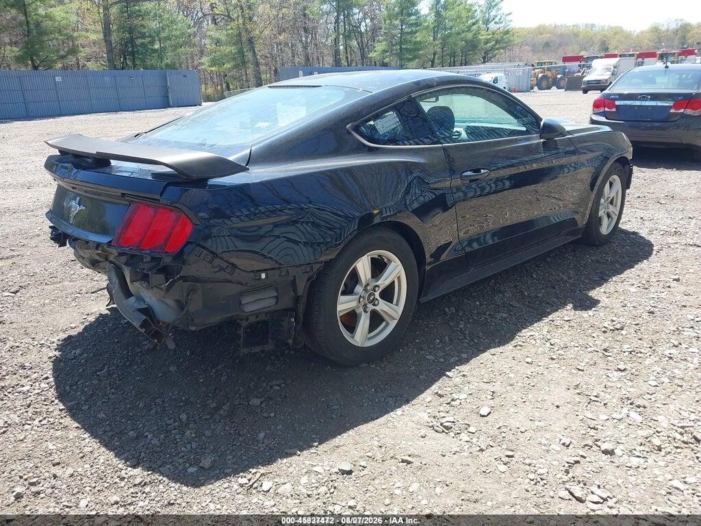 1FA6P8AM3H5202597 2017 FORD MUSTANG photo no. 4