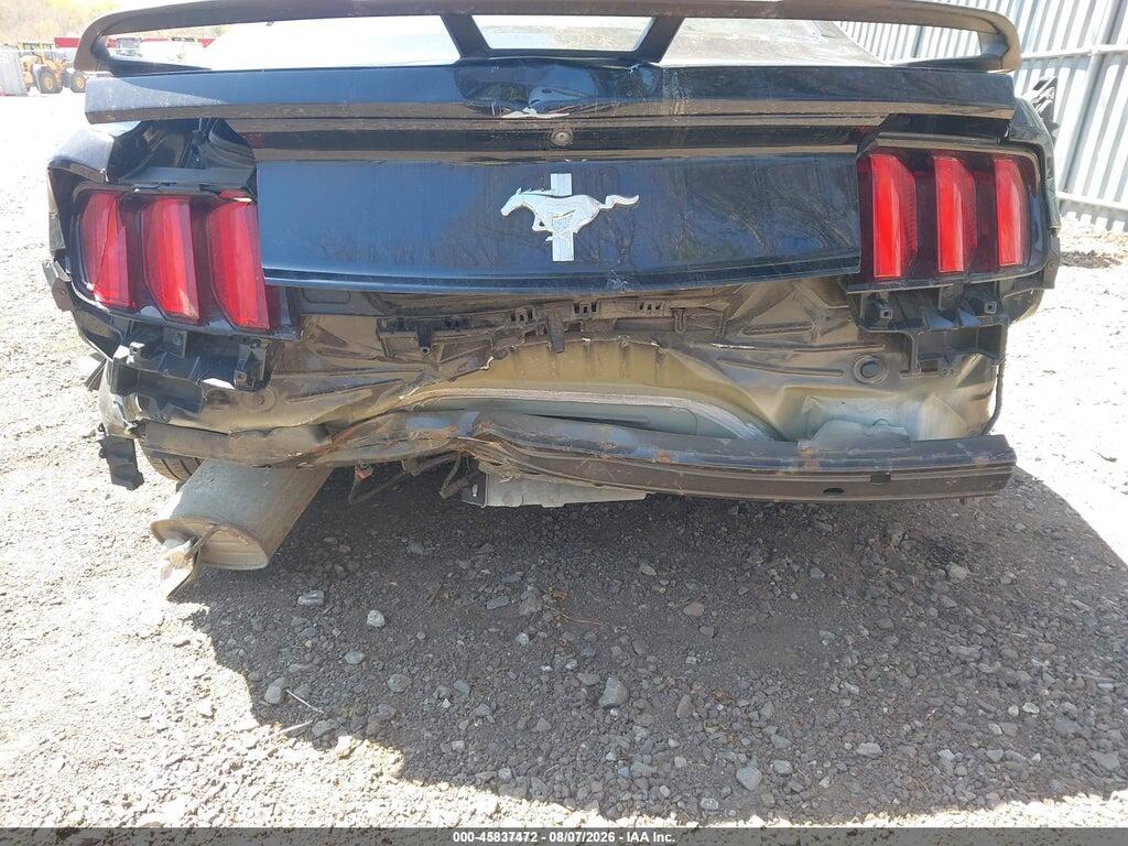 1FA6P8AM3H5202597 2017 FORD MUSTANG photo no. 6