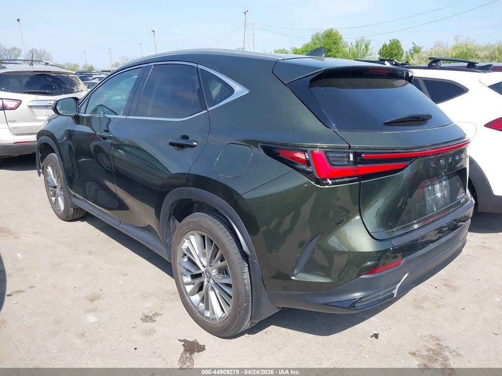 2T2HGCEZ5RC038670 2024 LEXUS NX 350 photo no. 3