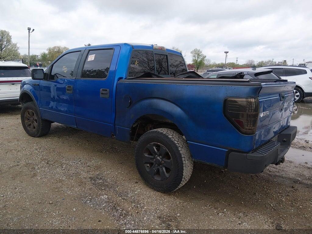 1FTFW1EV9AFC10324 2010 FORD F-150 photo no. 3