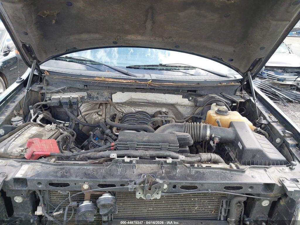 1FTFW1EF8DKE27562 2013 FORD F-150 photo no. 10