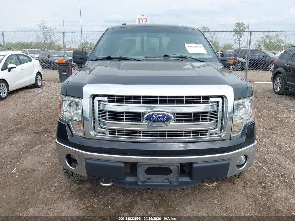 1FTFX1EF1DFD24747 2013 FORD F-150 photo no. 12