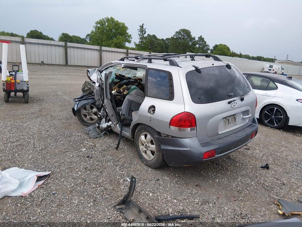 KM8SC13D46U101317 2006 HYUNDAI SANTA FE photo no. 3