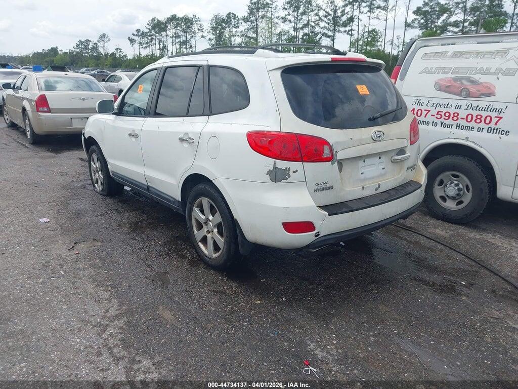 5NMSH13E99H298270 2009 HYUNDAI SANTA FE photo no. 3