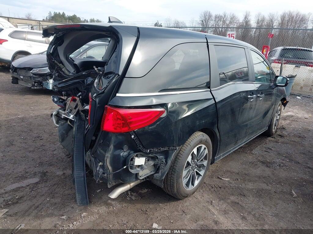 5FNRL6H64RB018610 2024 HONDA ODYSSEY photo no. 4
