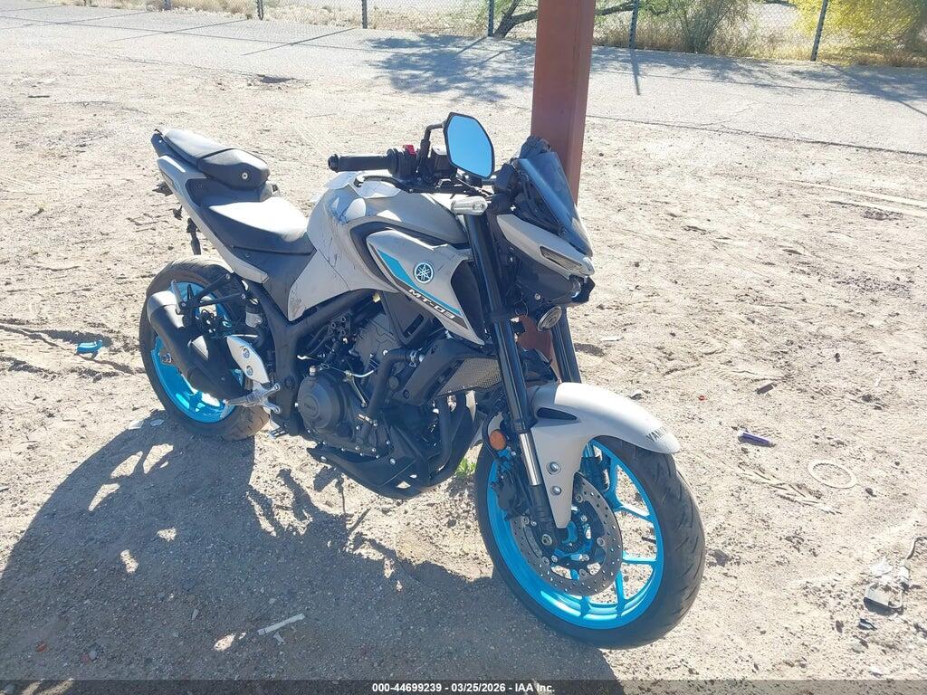 MH3RH28E8SK001305 2025 YAMAHA MTN320 photo no. 1