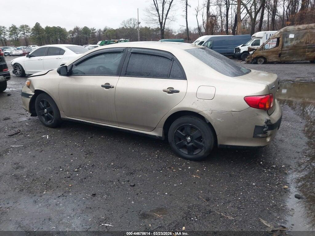 1NXBU4EE7AZ324237 2010 TOYOTA COROLLA photo no. 3