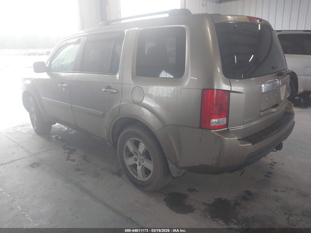 5FNYF38519B021554 2009 HONDA PILOT photo no. 3