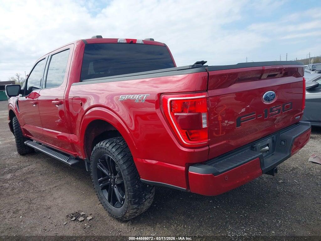 1FTEW1EP3MFC50061 2021 FORD F-150 photo no. 3