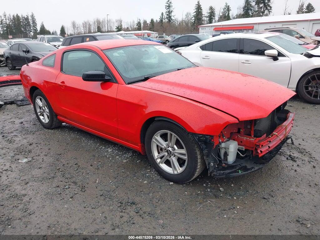 1ZVBP8AM4D5208411 2013 FORD MUSTANG photo no. 1