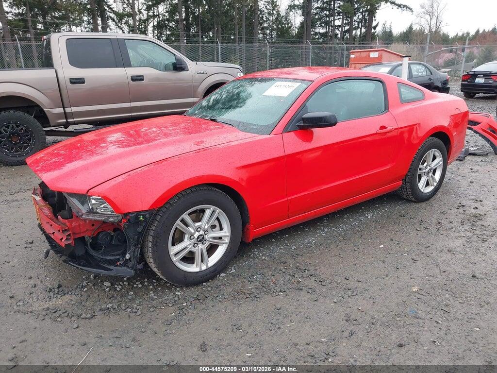 1ZVBP8AM4D5208411 2013 FORD MUSTANG photo no. 2