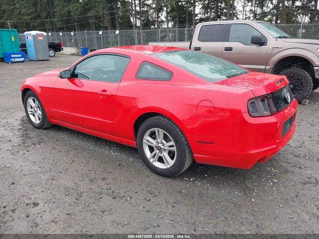 1ZVBP8AM4D5208411 2013 FORD MUSTANG photo no. 3