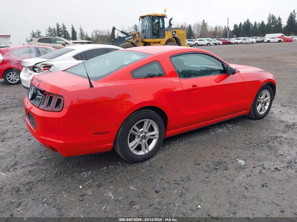 1ZVBP8AM4D5208411 2013 FORD MUSTANG photo no. 4