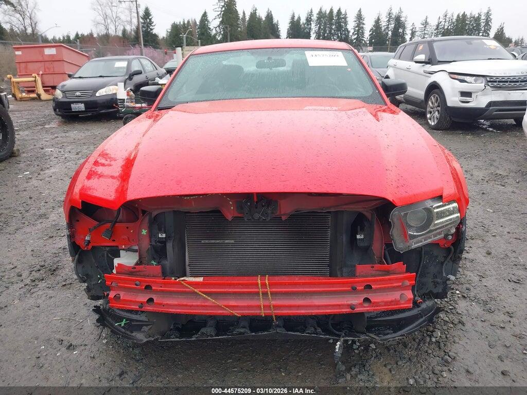 1ZVBP8AM4D5208411 2013 FORD MUSTANG photo no. 6