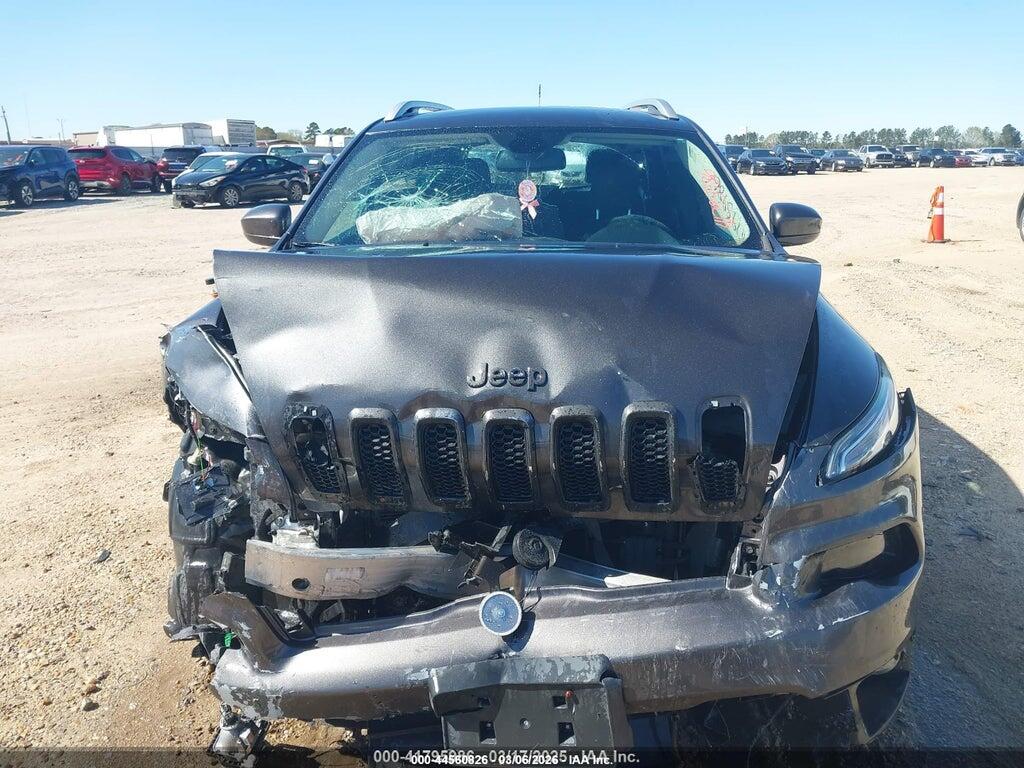 1C4PJMCB9GW313202 2016 JEEP CHEROKEE photo no. 12