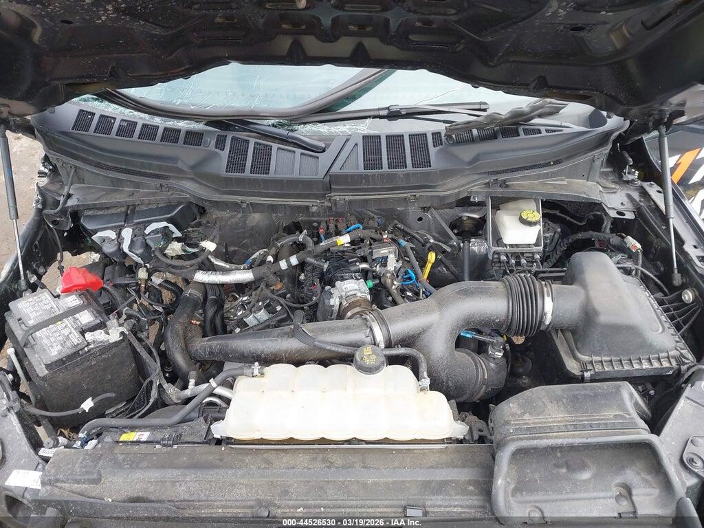 1FTEW2LP2RKE45821 2024 FORD F-150 photo no. 10