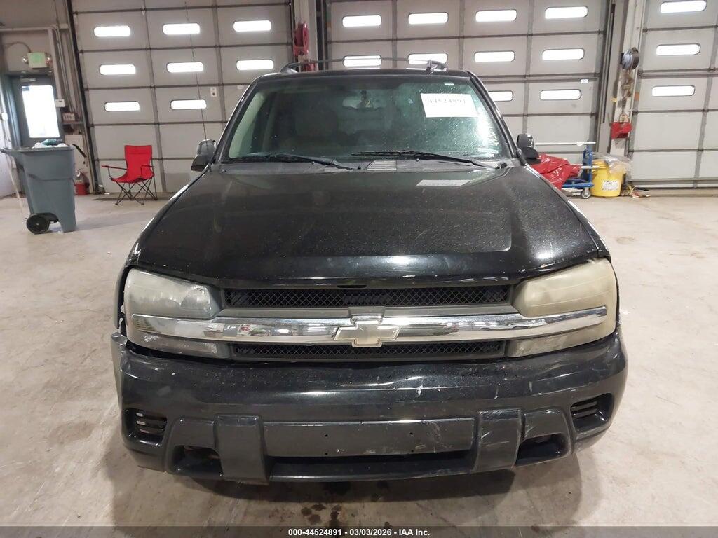 1GNDT13S462289237 2006 CHEVROLET TRAILBLAZER photo no. 12