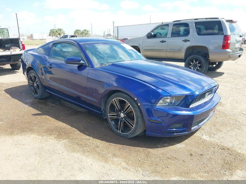 1ZVBP8AM9D5230033 2013 FORD MUSTANG photo no. 1