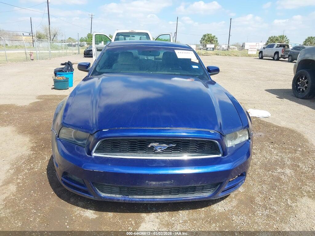 1ZVBP8AM9D5230033 2013 FORD MUSTANG photo no. 12