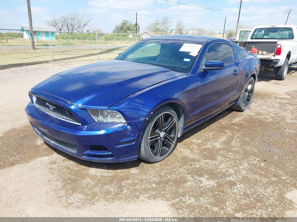 1ZVBP8AM9D5230033 2013 FORD MUSTANG photo no. 2